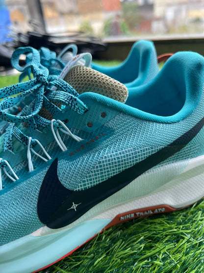 Nike Pegasus Trail 5 - Oferta