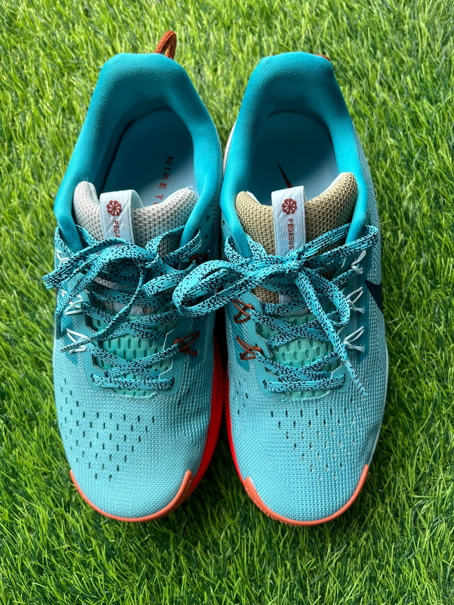 Nike Pegasus Trail 5 - Oferta