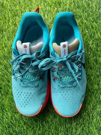 Nike Pegasus Trail 5 - Oferta